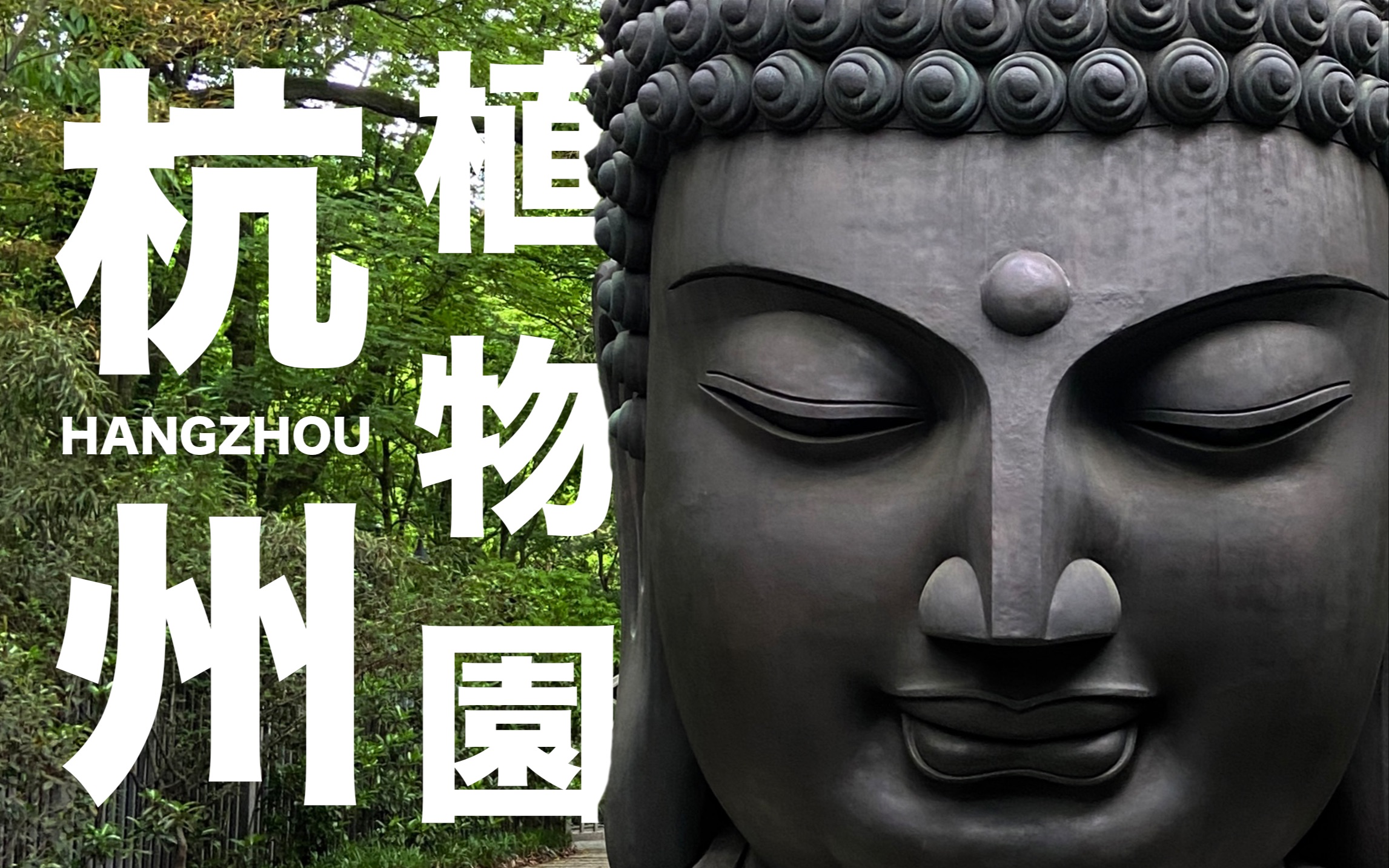 植物乐园苹果版下载植物online手机版